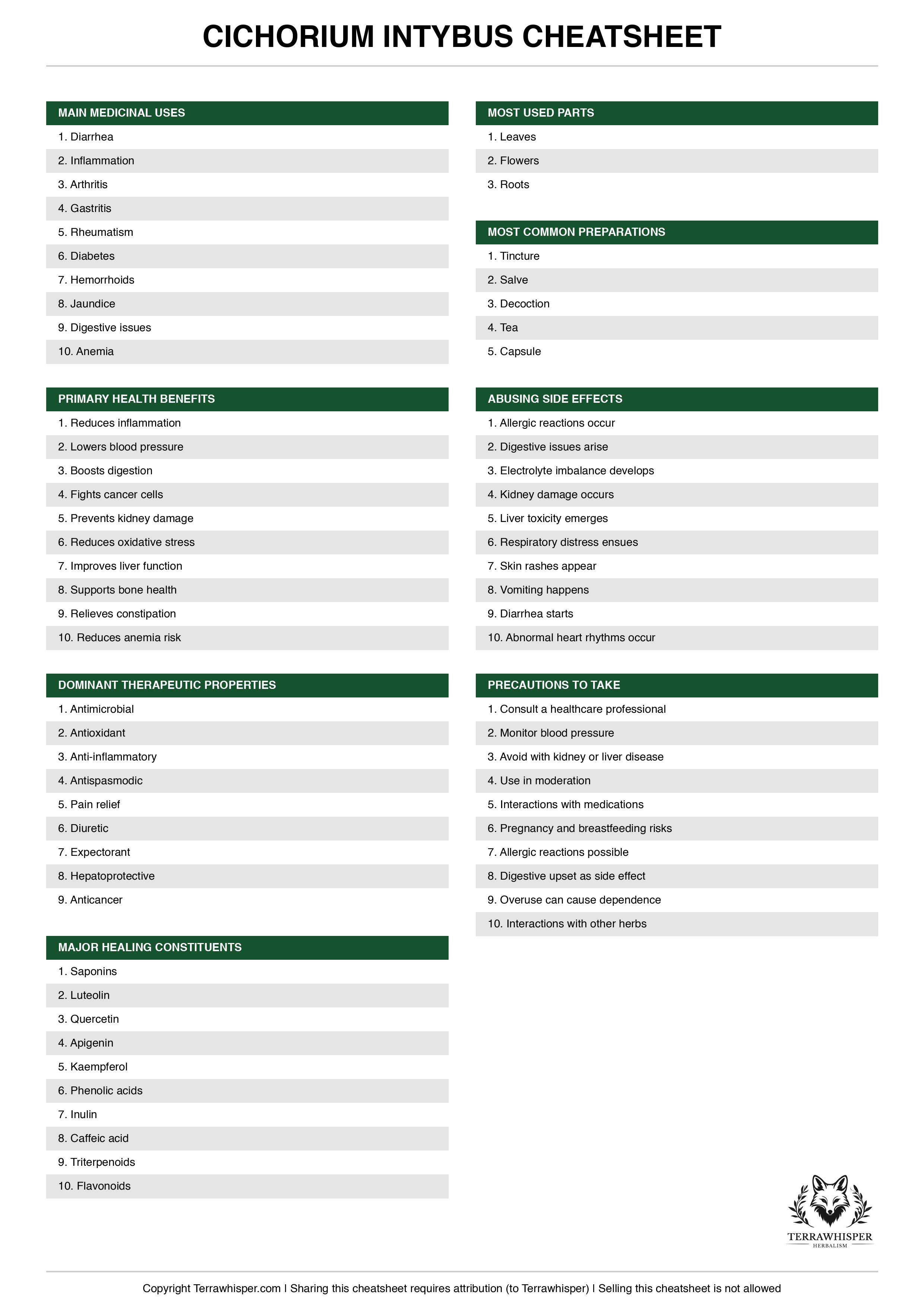 Cichorium intybus plant cheatsheet