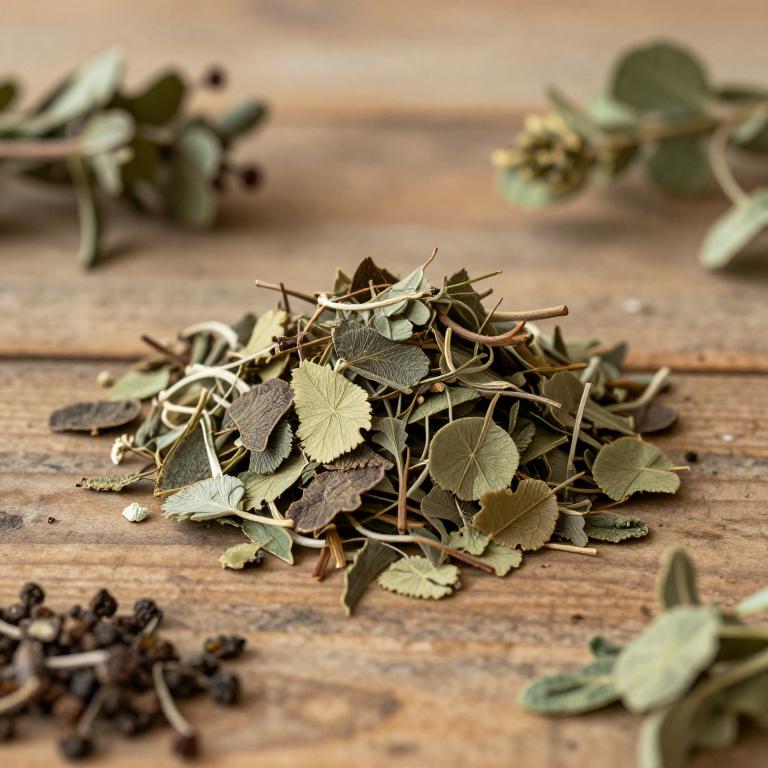 Cinnamodendron dinisii