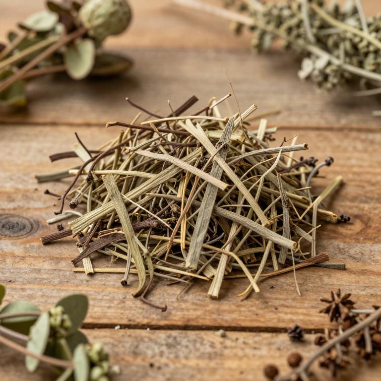 Cissus hamaderohensis