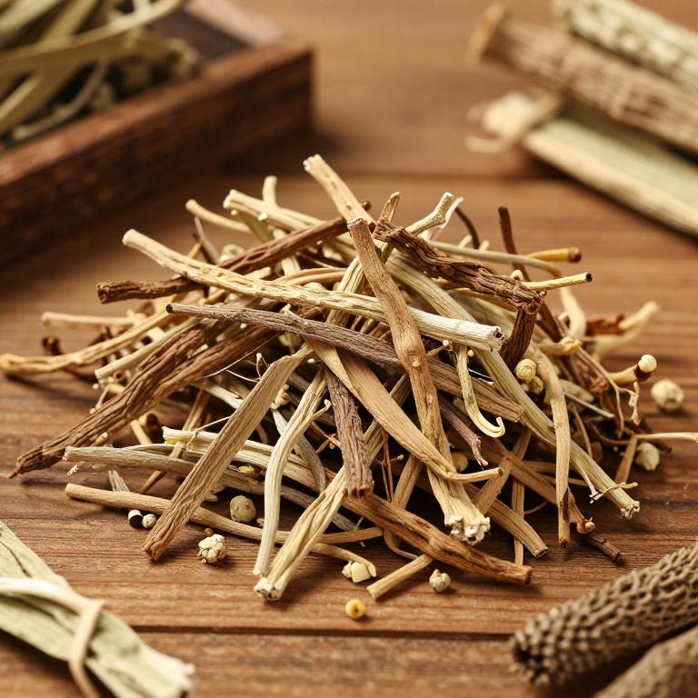 Cistanche sinensis