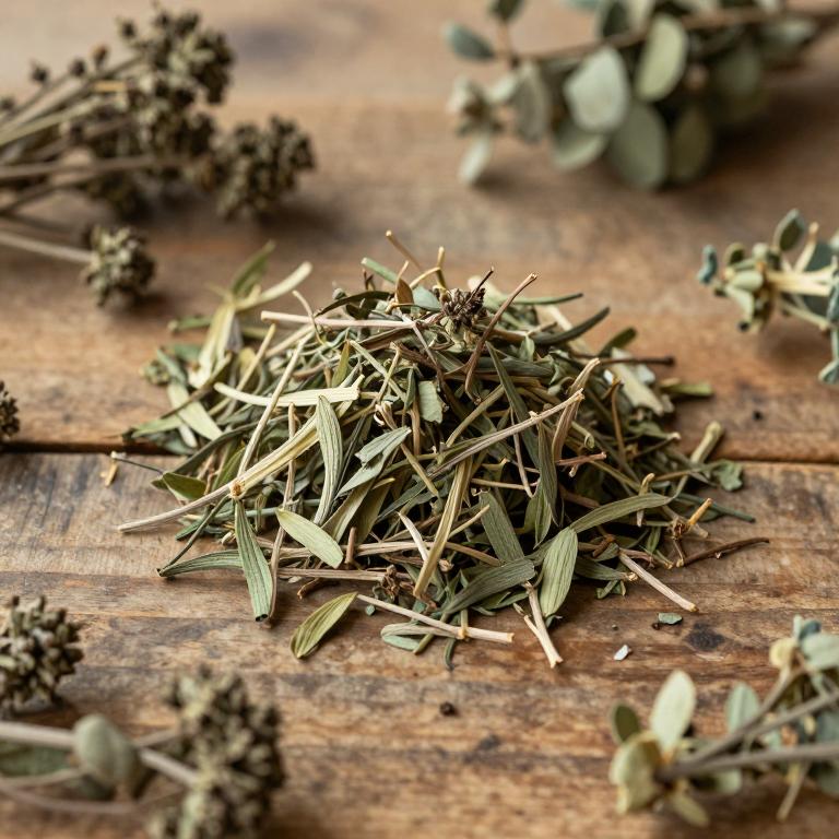 Cleistanthus collinus