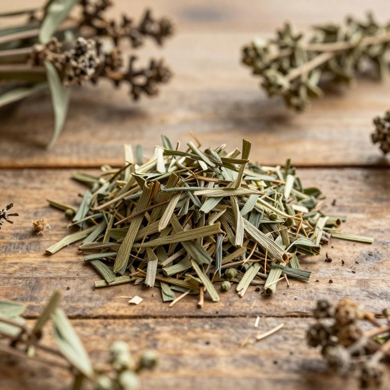 Clinopodium congestum
