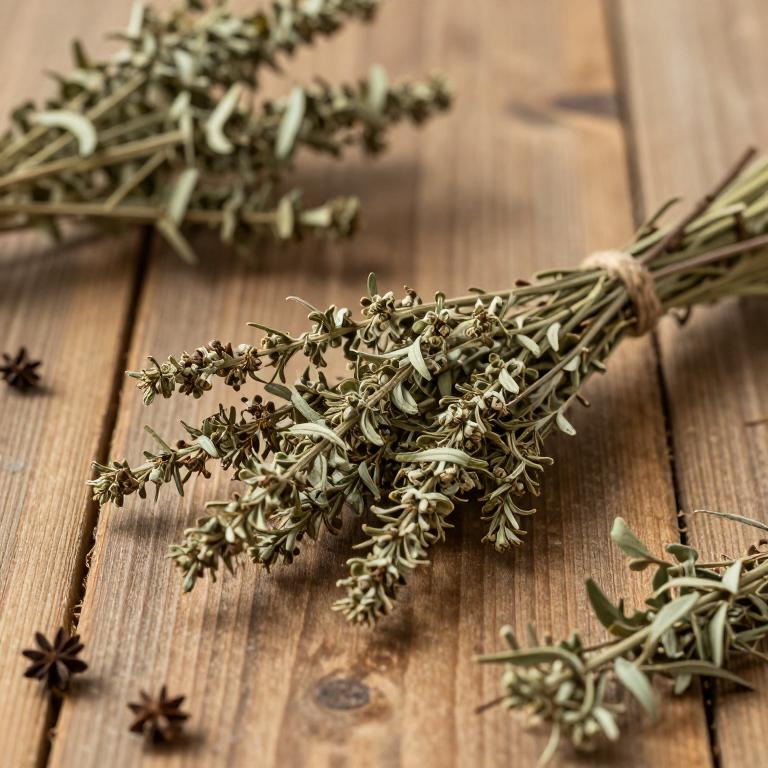 Combretum molle