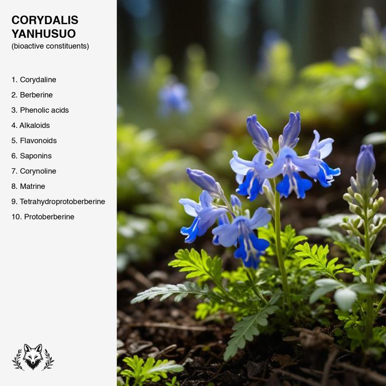 constituents of Corydalis yanhusuo