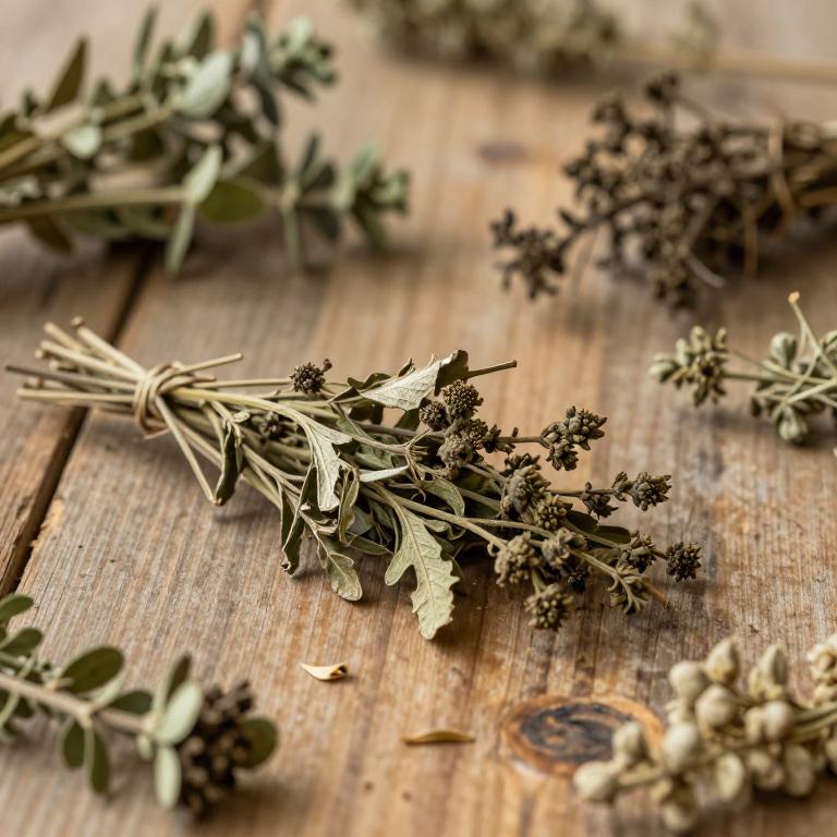 Crepidiastrum sonchifolium
