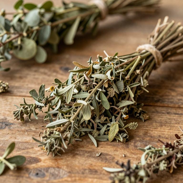 Cruciata taurica