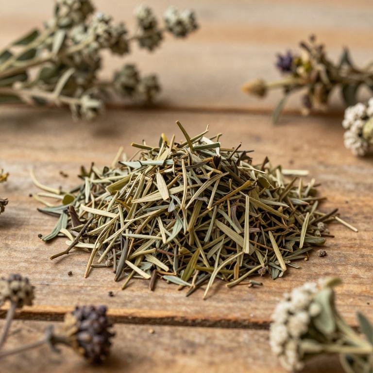 Cunila spicata