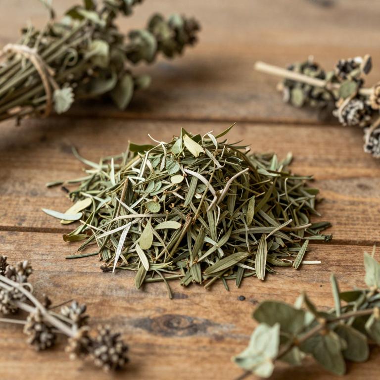 Curio radicans