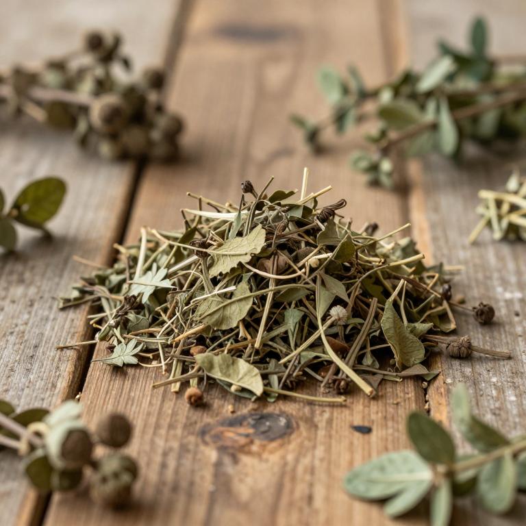 Cuscuta monogyna