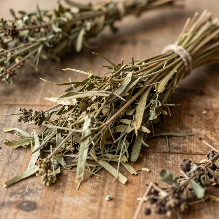Cyperus longus
