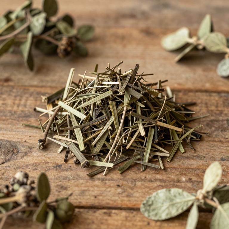 Dendropanax