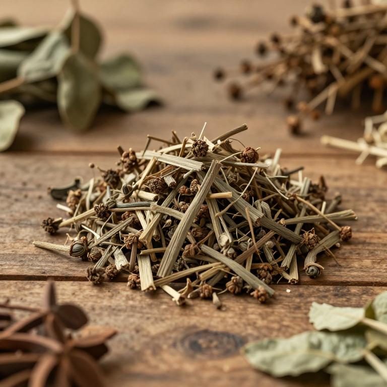 Dioscorea birmanica