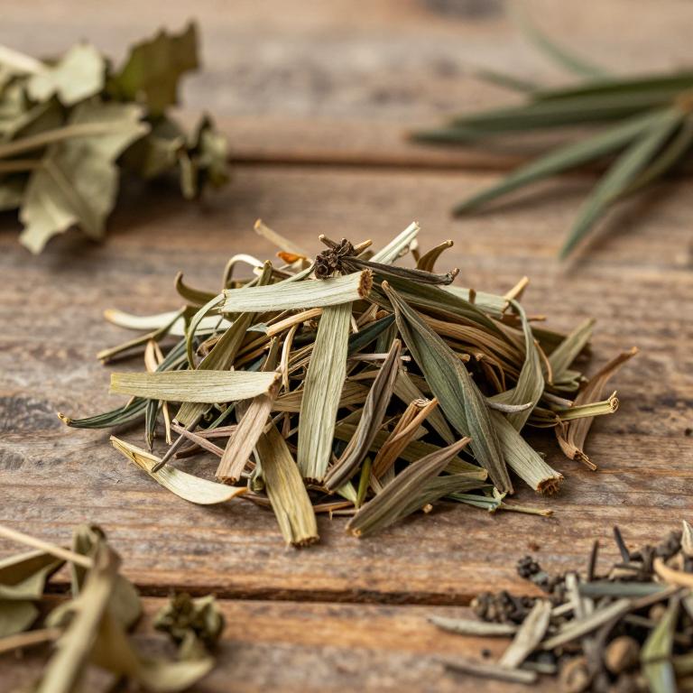 Dracaena dawei