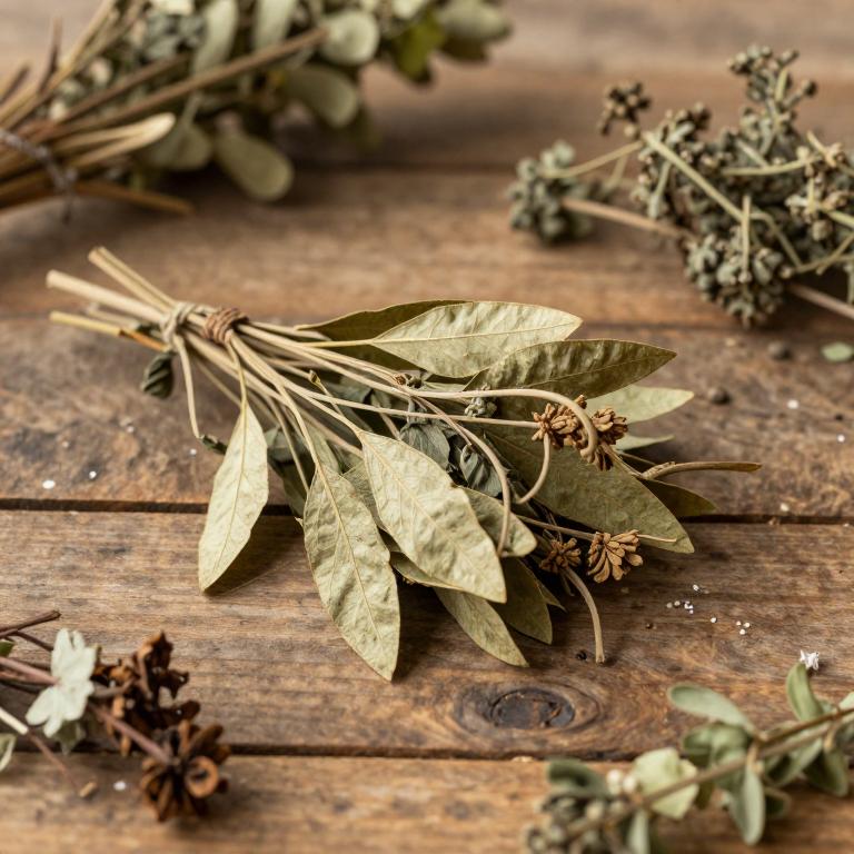 Dysoxylum pallens