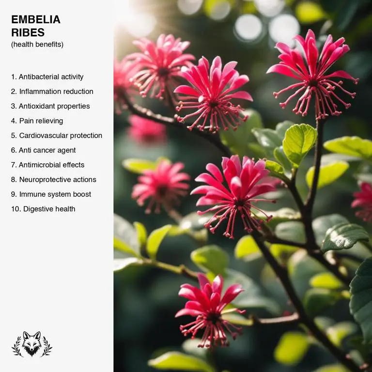 benefits of Embelia ribes