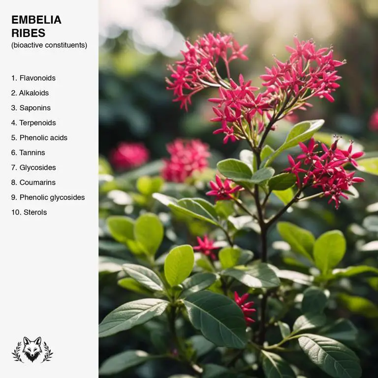 constituents of Embelia ribes