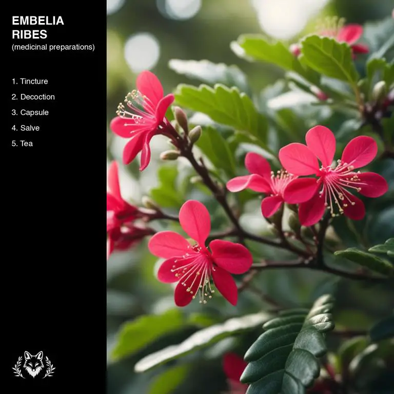 preparations of Embelia ribes