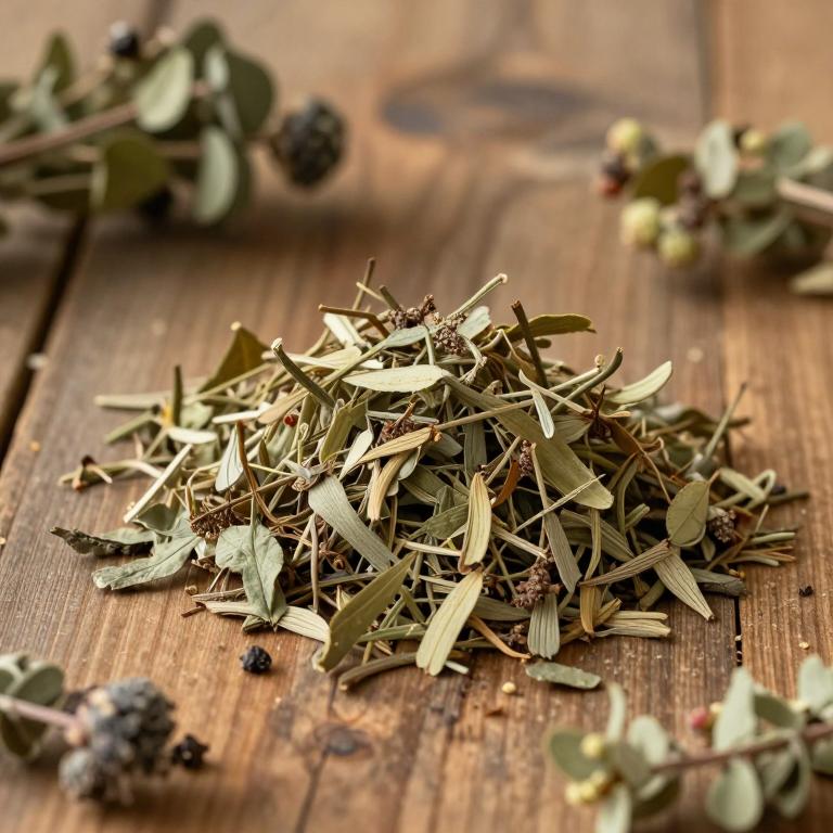 Enkianthus