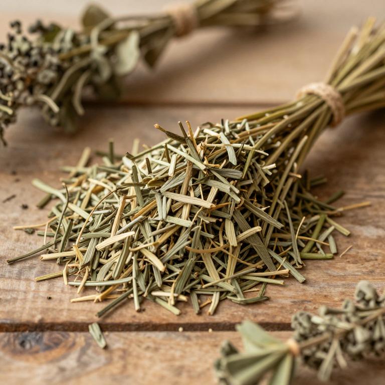 Eragrostis tef