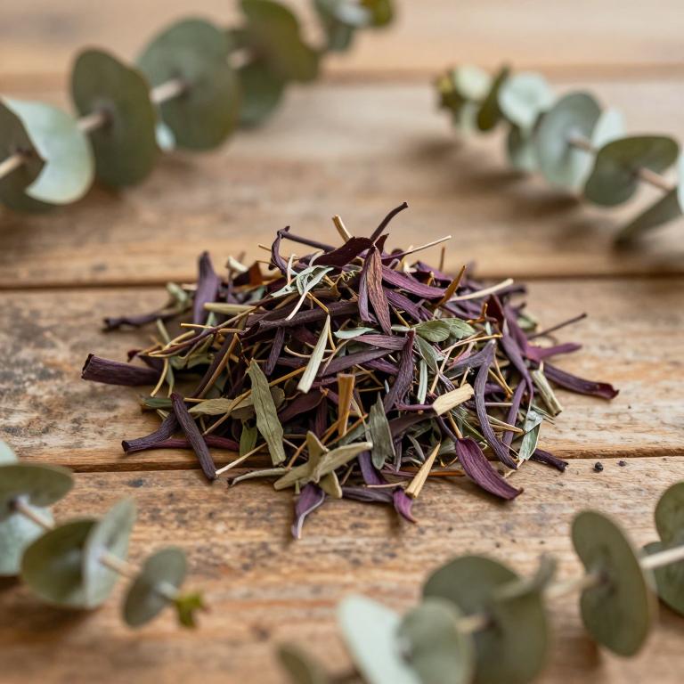 Eucalyptus cuprea
