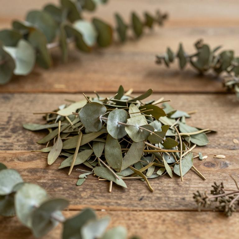 Eucalyptus deanei