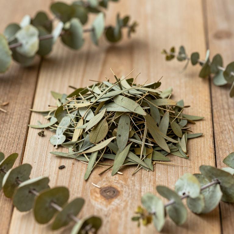 Eucalyptus diversicolor