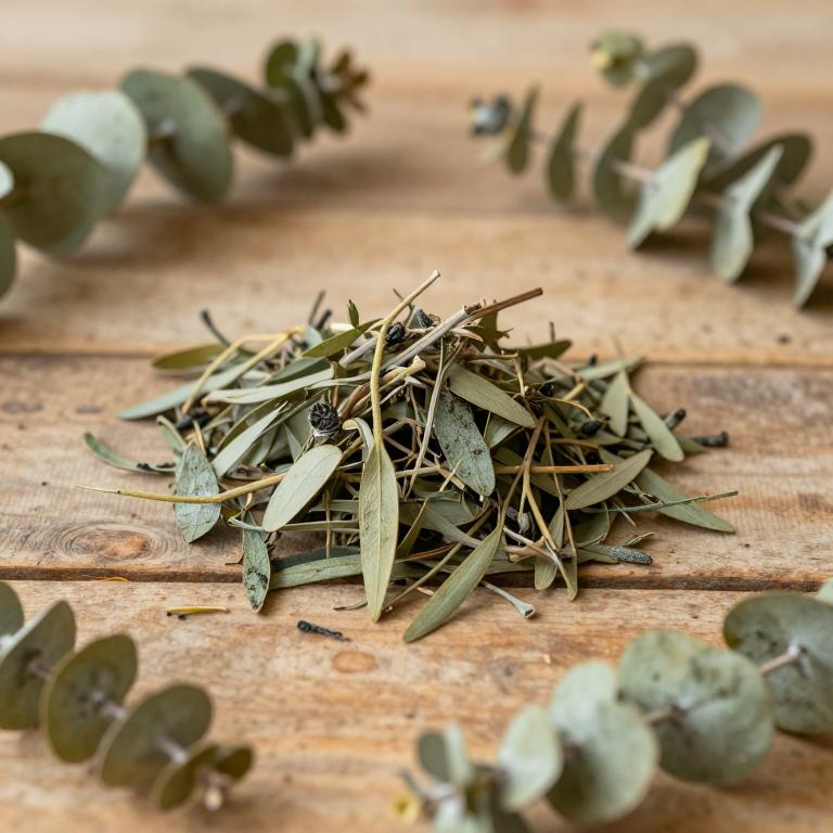 Eucalyptus melanophloia