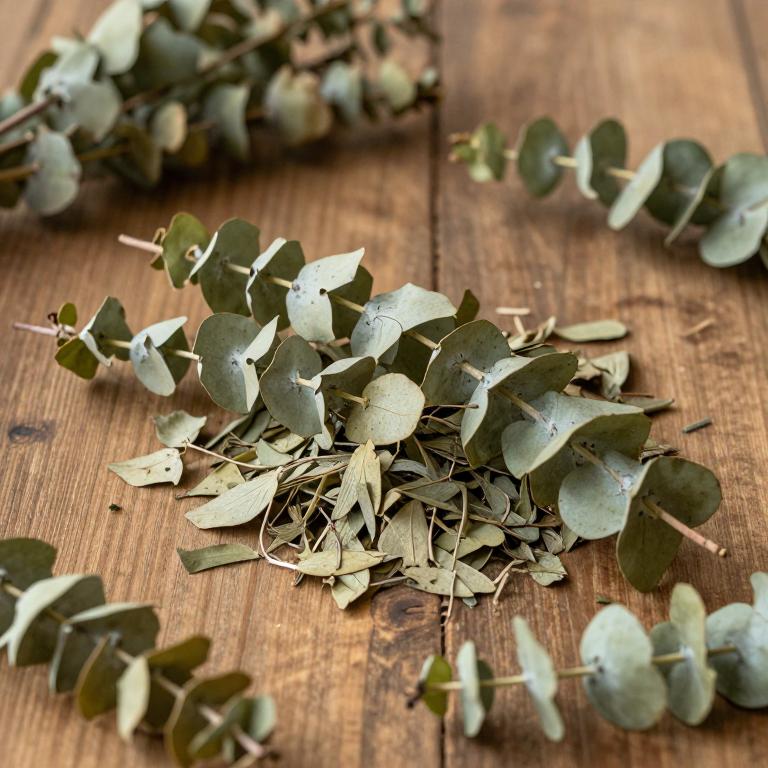 Eucalyptus punctata