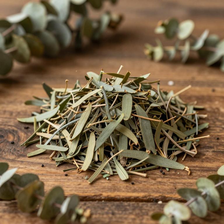 Eucalyptus sparsa