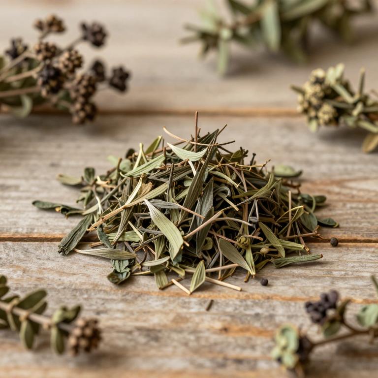 Eugenia dysenterica