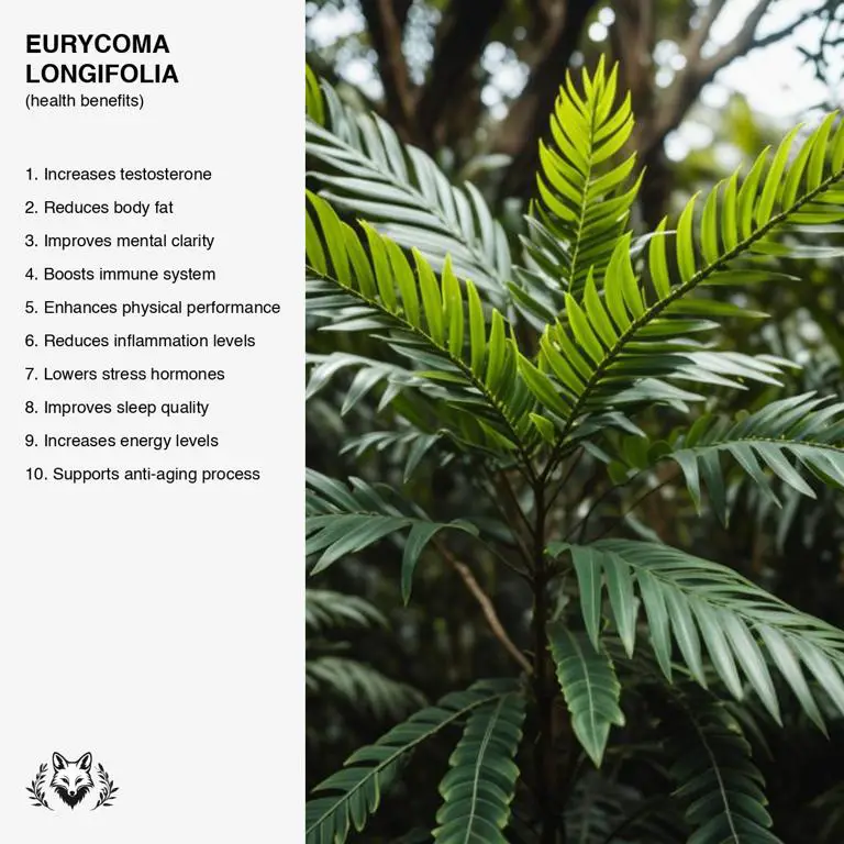 benefits of Eurycoma longifolia