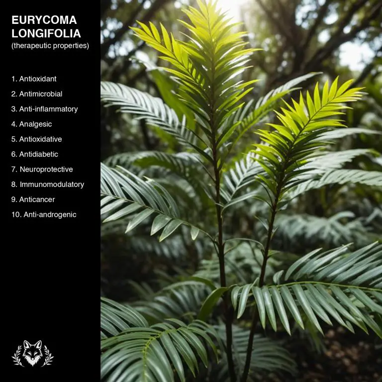 properties of Eurycoma longifolia