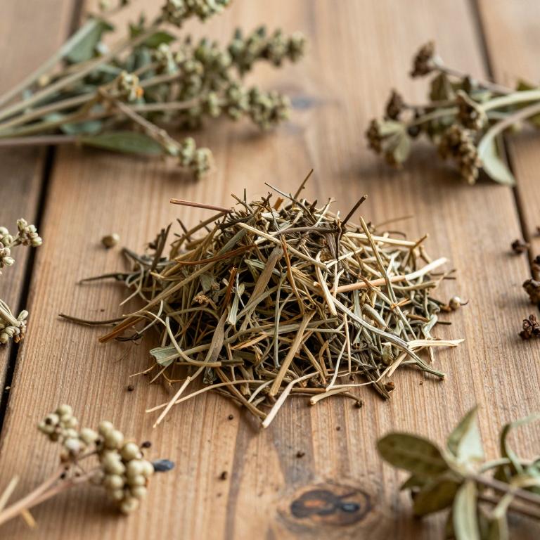 Fagus engleriana