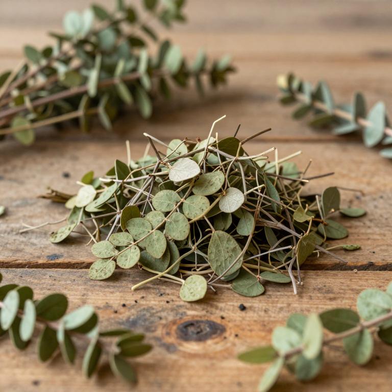 Ficus sarmentosa var. sarmentosa