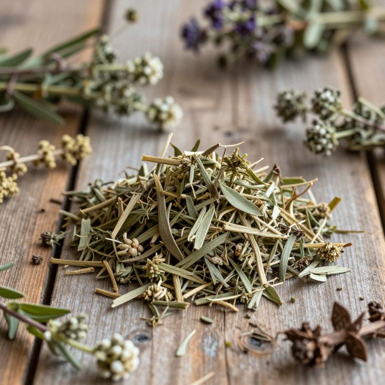 Fumaria officinalis subsp. cilicica