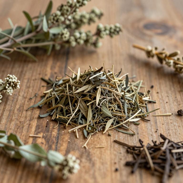 Galium bermudense
