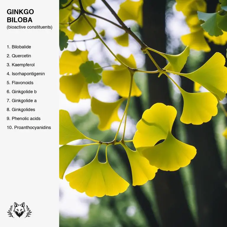 constituents of Ginkgo biloba