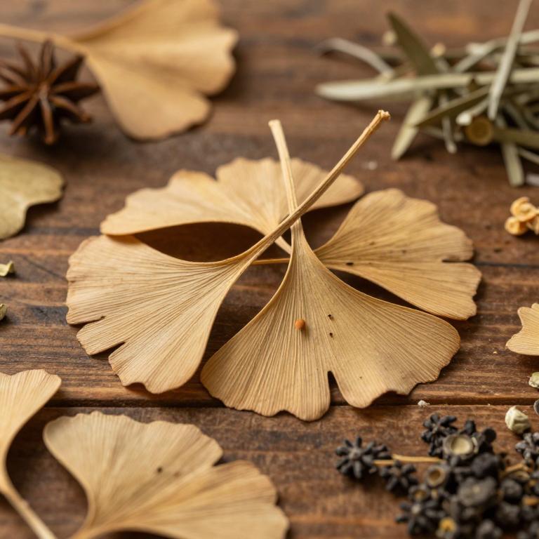 Ginkgo