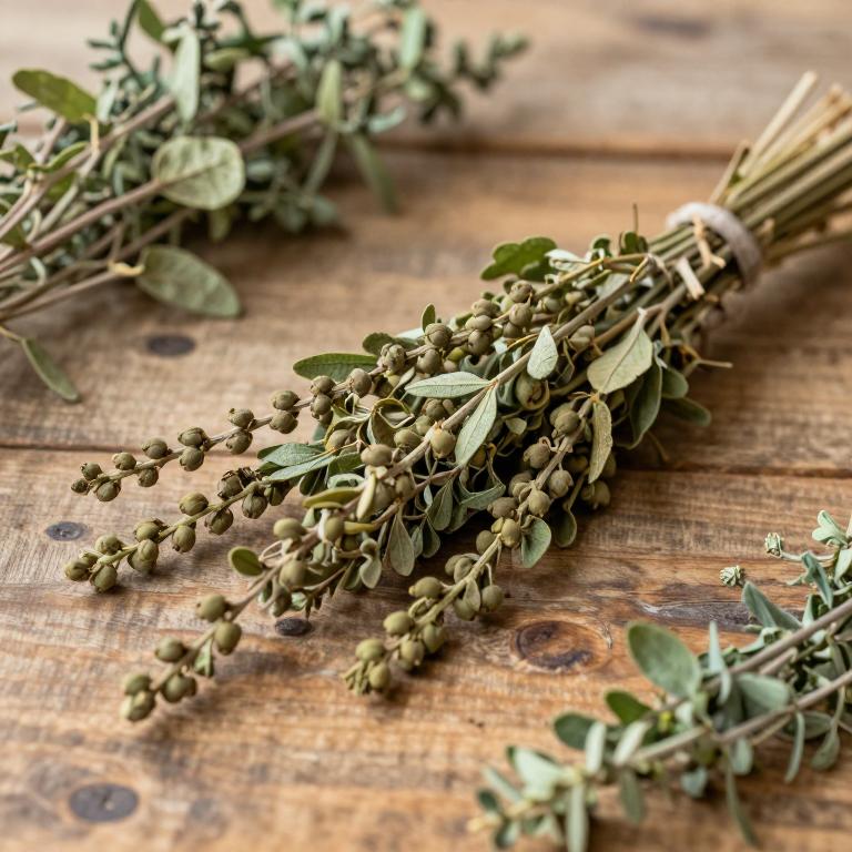 Glycine max subsp. soja