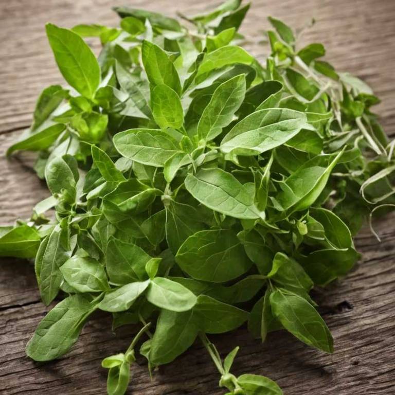 gymnema sylvestre for overeating