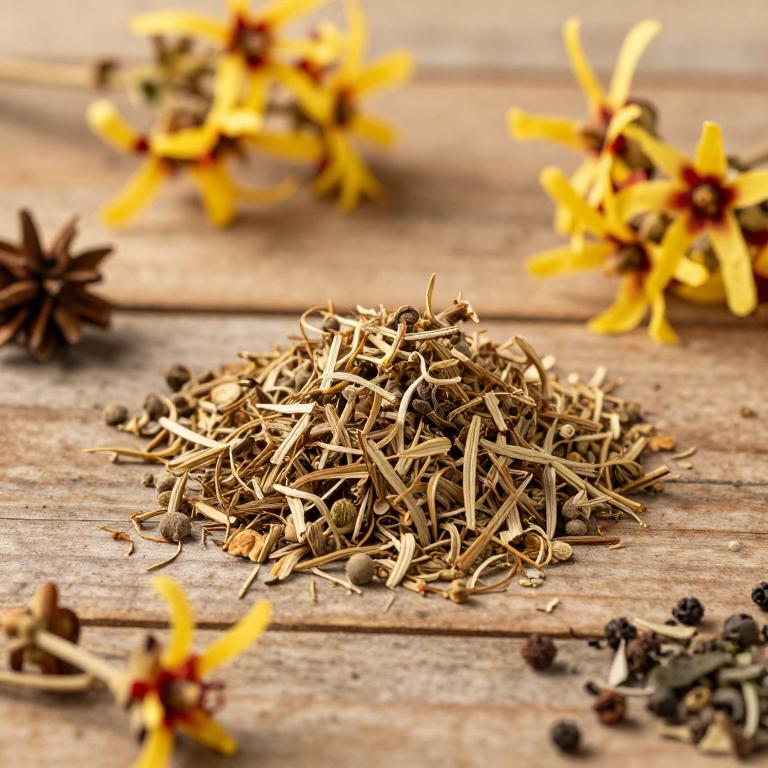 Hamamelis