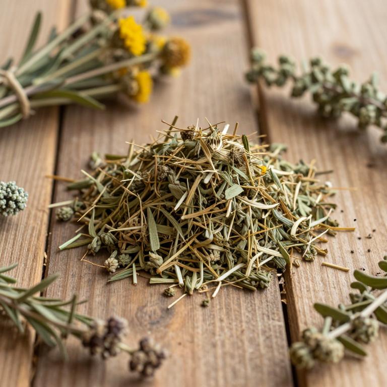 Helichrysum orientale