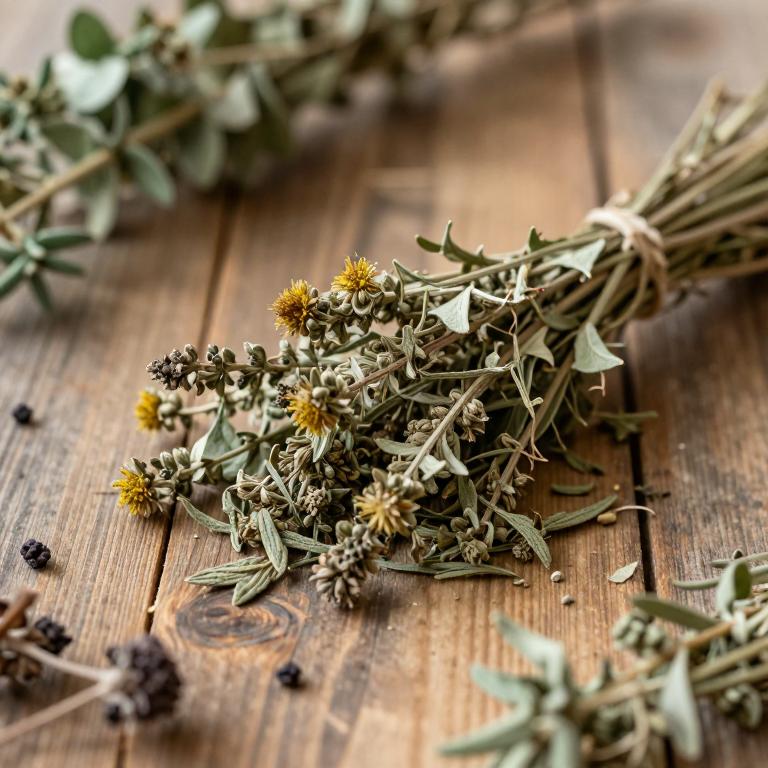 Helichrysum pedunculatum