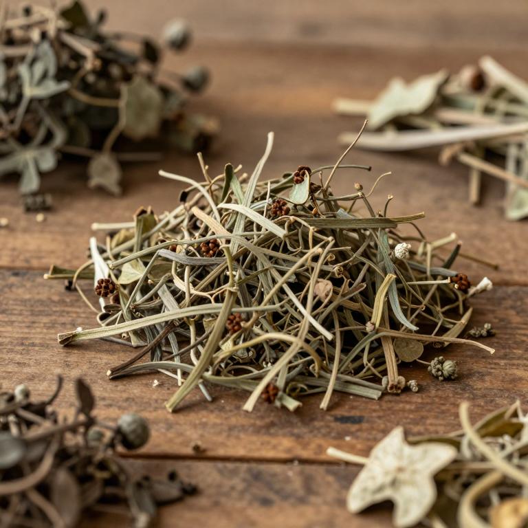 Hemsleya zhejiangensis