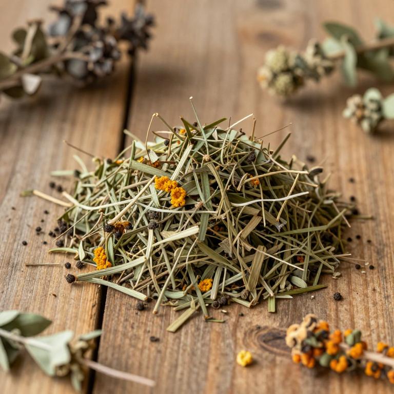 Hippophae sinensis