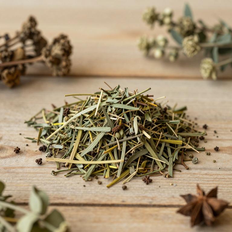 Hippophae