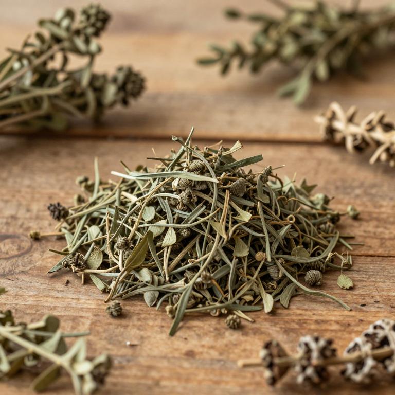 Horsfieldia spicata