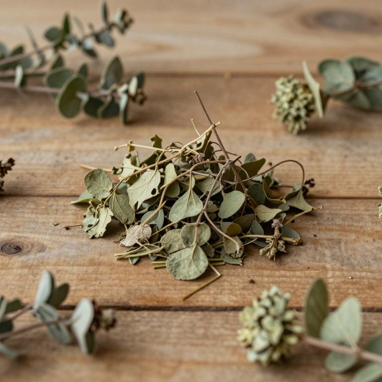 Hymenaea parvifolia