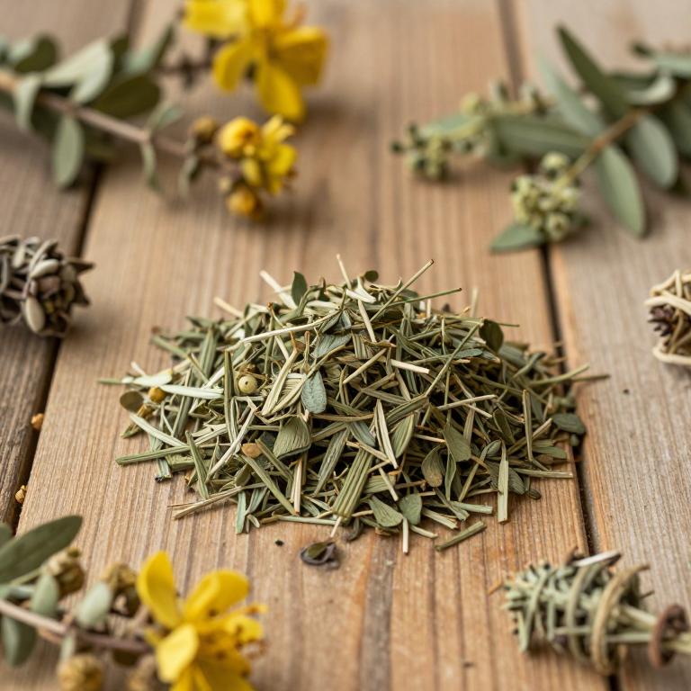 Hypericum laricifolium