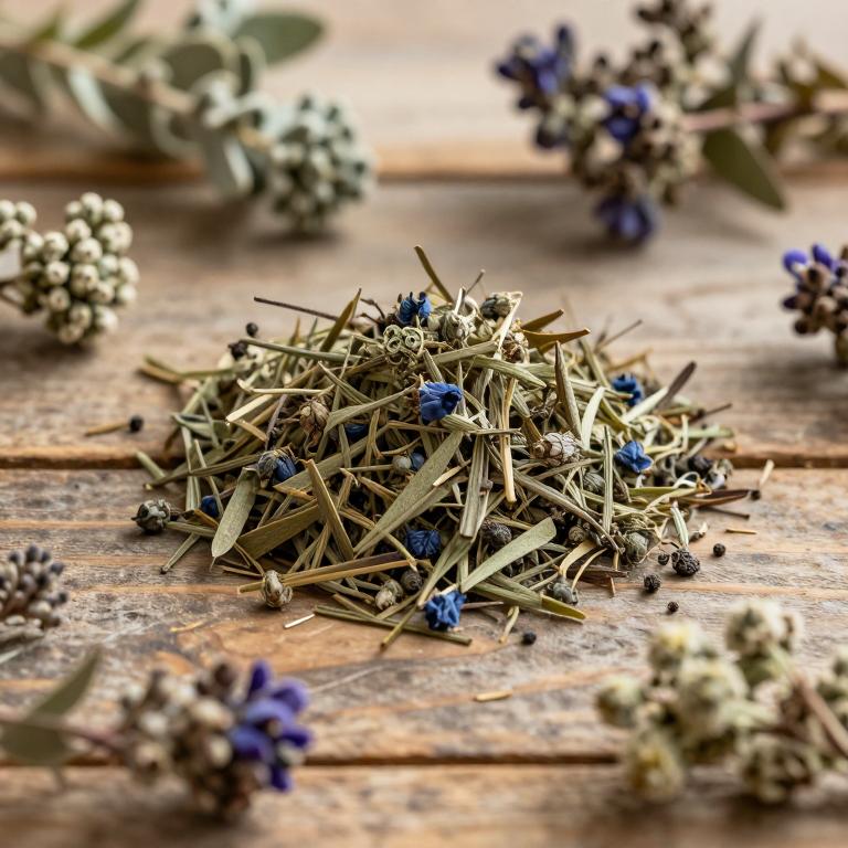 Indigofera spicata
